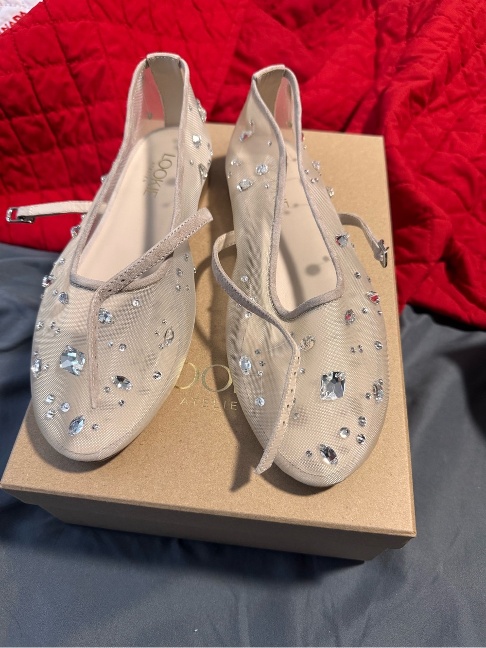Embellished Nude Mesh Ballet Flats with Crystal Accents - Picture 3 of 7